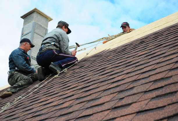 Best Metal Roofing Contractor  in De Pere, WI
